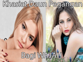 Manfaat daun pegangan untuk kesehatan wajah