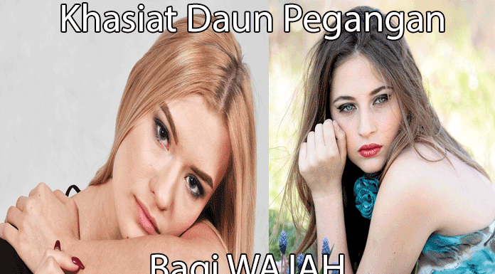 Manfaat daun pegangan untuk kesehatan wajah