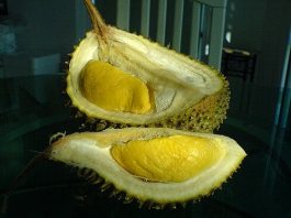 Durian bisa menyebabkan kematian bila dikonsumsi dengan kopi