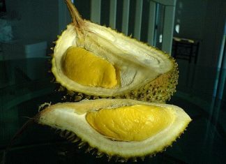 Durian bisa menyebabkan kematian bila dikonsumsi dengan kopi