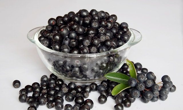 Khasiat buah aronia untuk membunuh sel kanker