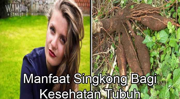 3 Manfaat Singkong Untuk Kesehatan Tubuh