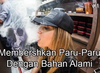 Cara Membersihkan Paru-Paru Dengan Bahan Alami wahbangetcom