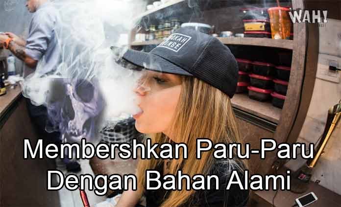 Cara Membersihkan Paru-Paru Dengan Bahan Alami wahbangetcom