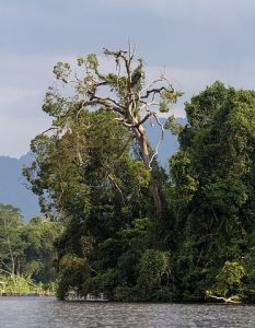 5 Tempat wisata alam di ciamis yang Wahbanget!