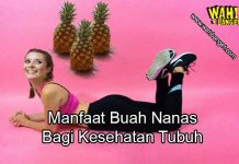 5 Manfaat buah nanas untuk kesehatan tubuh dan kecantikan