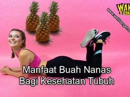 5 Manfaat buah nanas untuk kesehatan tubuh dan kecantikan