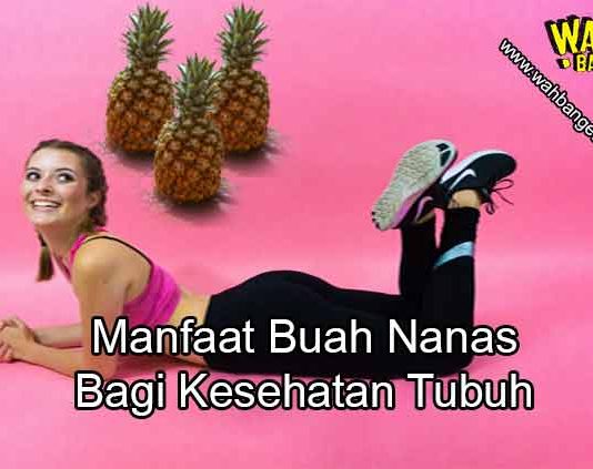 5 Manfaat buah nanas untuk kesehatan tubuh dan kecantikan