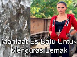 Manfaat Es Batu Untuk Menguras Lemak Dalam Waktu 12 Hari