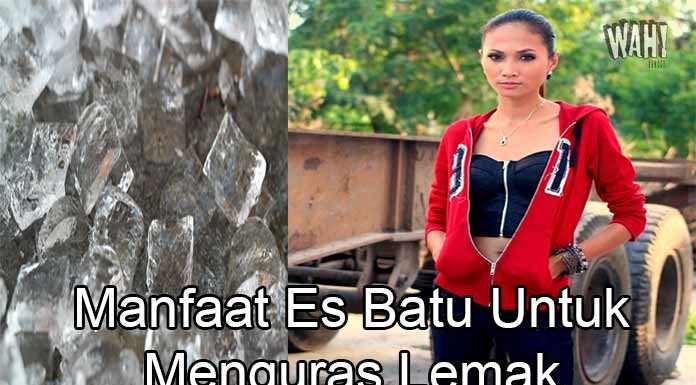 Manfaat Es Batu Untuk Menguras Lemak Dalam Waktu 12 Hari