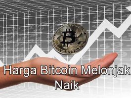 Nilai Tukar Bitcoin Melonjak Naik Hingga Puluhan Juta | Wahbanget