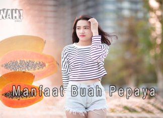 3 Manfaat Buah Pepaya Untuk Kesehatan Tubuh