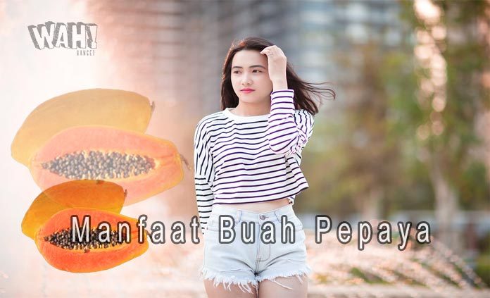 3 Manfaat Buah Pepaya Untuk Kesehatan Tubuh