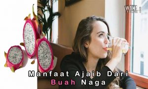 4 Manfaat Buah Naga Untuk Mengatasi Berbagai Penyakit