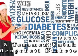 5 Tanaman Untuk Mengobati Penyakit Diabetes