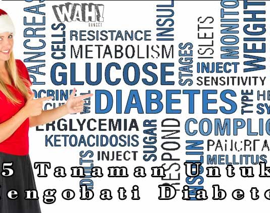 5 Tanaman Untuk Mengobati Penyakit Diabetes