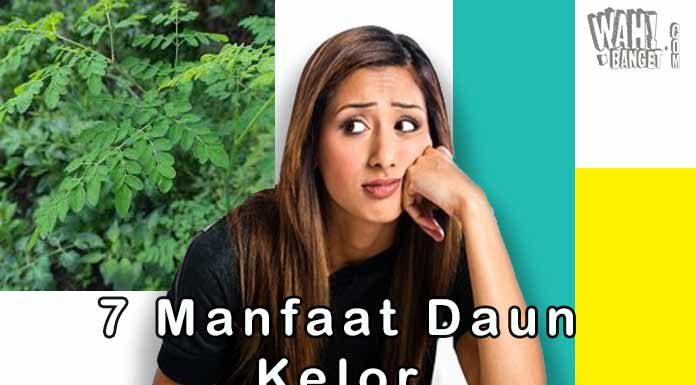 7 Manfaat Daun Kelor Bagi Kesehatan Tubuh Manusia