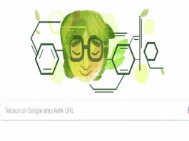 Siapa Asima Chatterjee Google Doodle Hari Ini