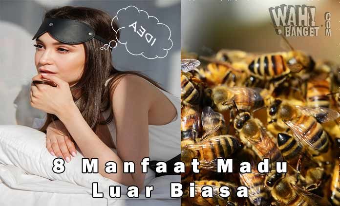 8 Manfaat Madu Untuk Kesehatan Dan Tambah Daya Ingat