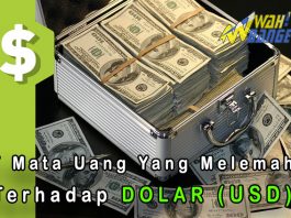 7 Mata Uang Yang Nilai Tukarnya Melemah Terhadap Dolar Amerika Serikat