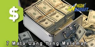 7 Mata Uang Yang Nilai Tukarnya Melemah Terhadap Dolar Amerika Serikat