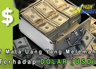 7 Mata Uang Yang Nilai Tukarnya Melemah Terhadap Dolar Amerika Serikat