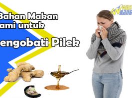 Inilah 3 Bahan Makanan Untuk Mengobati Penyakit Pilek Secara Alami