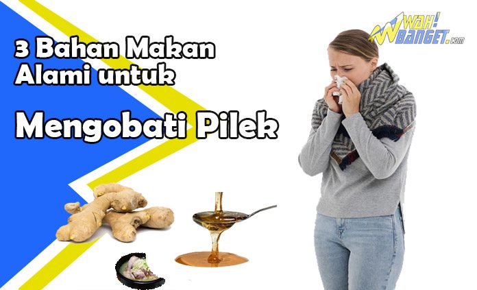 Inilah 3 Bahan Makanan Untuk Mengobati Penyakit Pilek Secara Alami